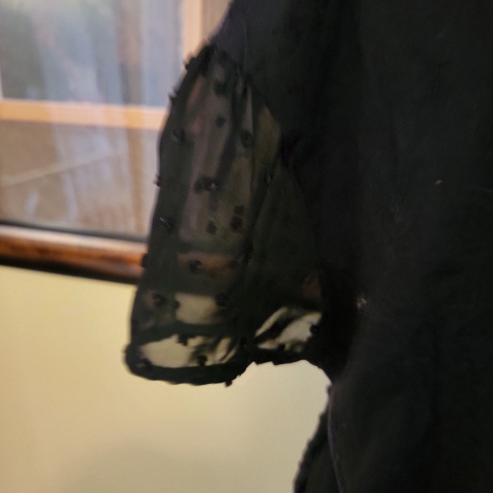 Elegant Black Sheer Women's Top - Picture 6 of 6